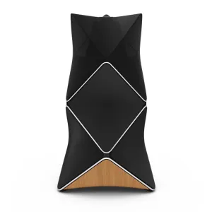 #1 Best Seller: Bang & Olufsen Beolab 90 High-End Loudspeaker - Each  Stylish & Comfortable