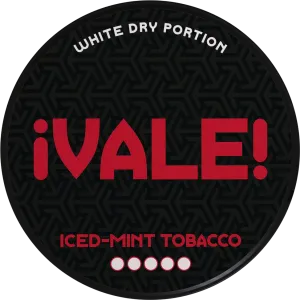 Affordable Luxury Vale Iced Mint Tobacco  Limited Release!