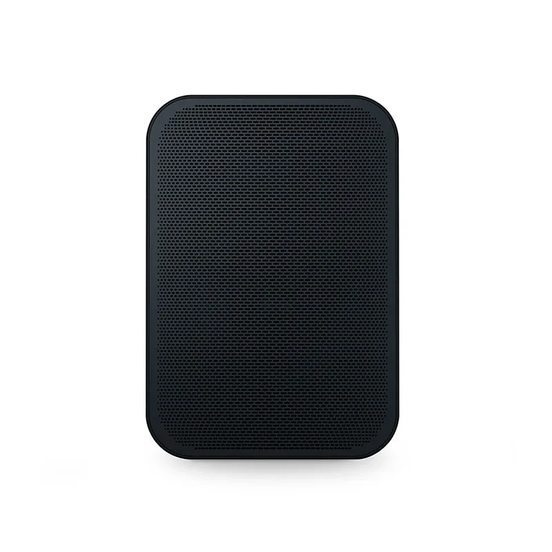 Bestseller Bluesound Pulse Flex 2i Wireless Airplay 2 Speaker (Each) | Display Unit  Almost Sold Out!