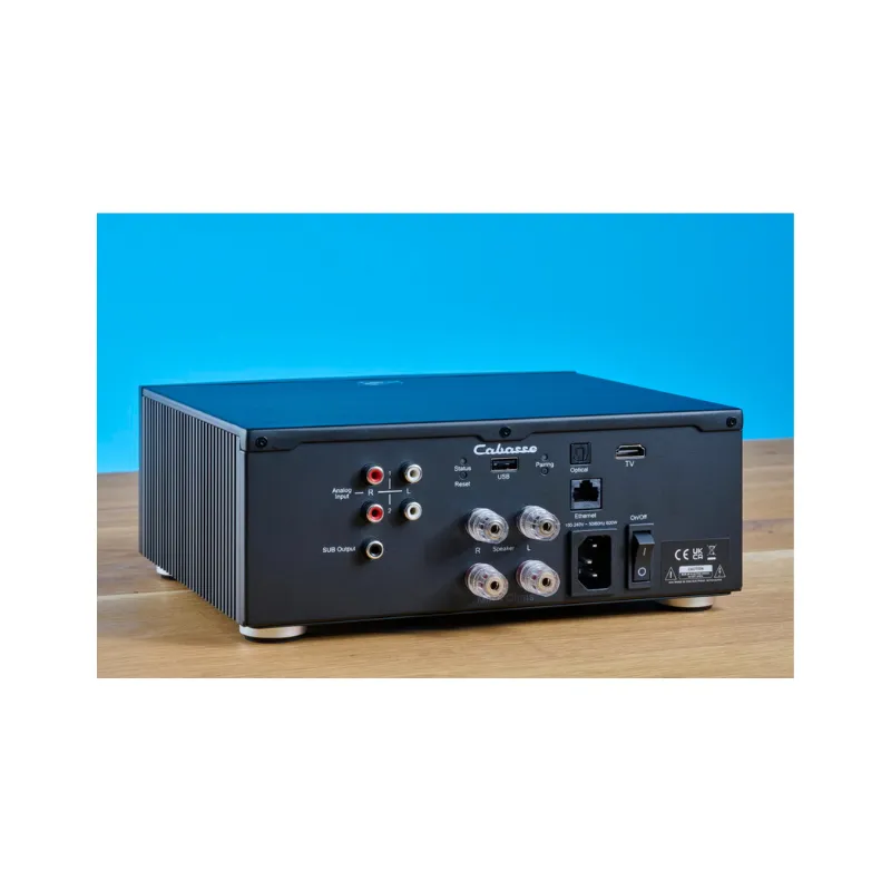 Doorbuster Cabasse Abyss Wireless Hi-Fi Stereo Amplifier (Each)  Limited Release!