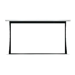 Doorbuster JK Professional - HD, Tab Tensioned Wall Mount Electric Screens  Almost Sold Out!