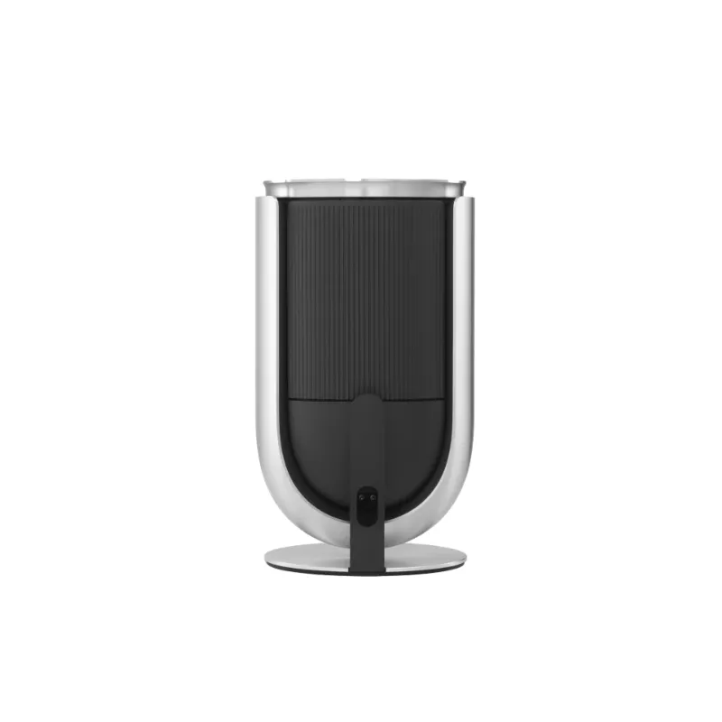 Exclusive Bang & Olufsen Beolab 8 - Compact Wireless Speaker (Each)  Stylish & Comfortable
