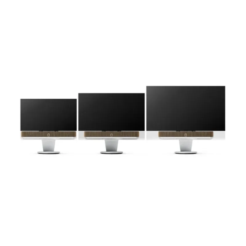 Exclusive Bang & Olufsen Beosound Floorstand for Theatre Soundbar (Each)  Limited Release!