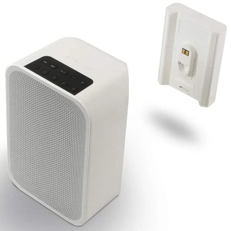 Flash Sale! Bluesound BP100 - Pulse Flex Battery Pack  Almost Gone!