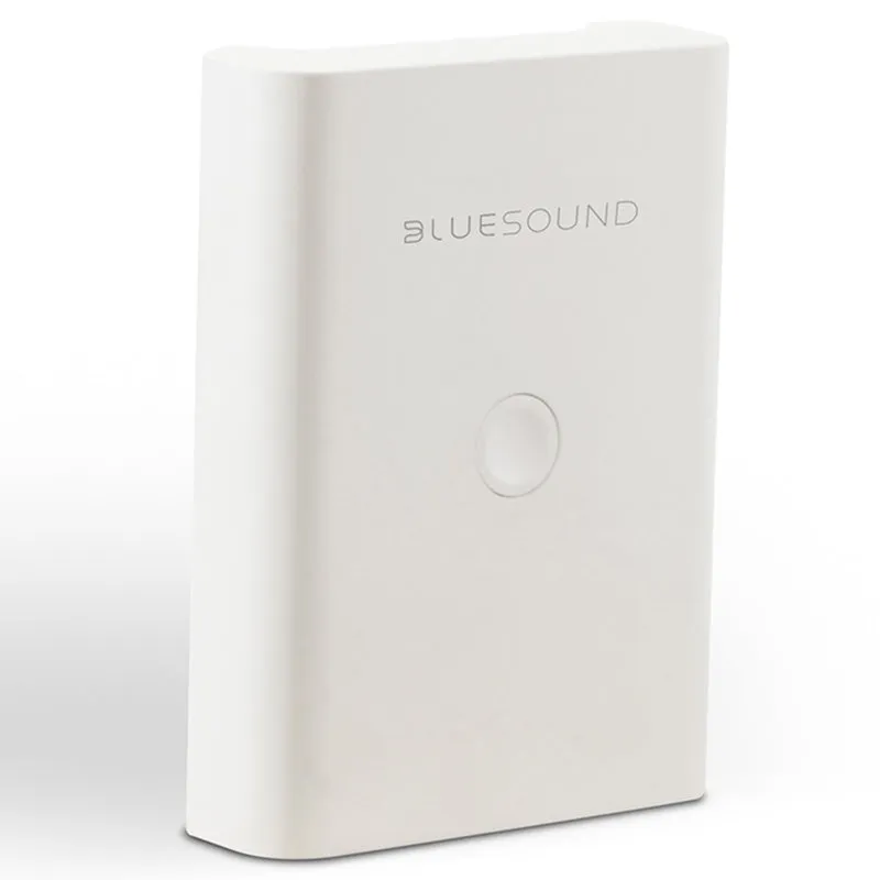 Flash Sale! Bluesound BP100 - Pulse Flex Battery Pack  Almost Gone!