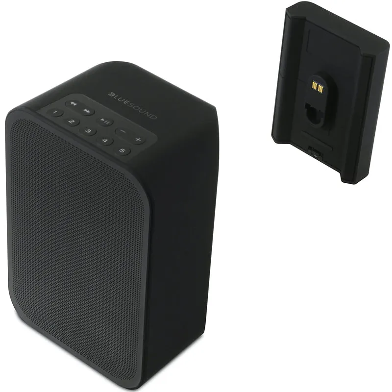 Hot Deal Bluesound Pulse FLEX 2i Mobile Sound System & Battery Pack (Each)  Limited Stock!
