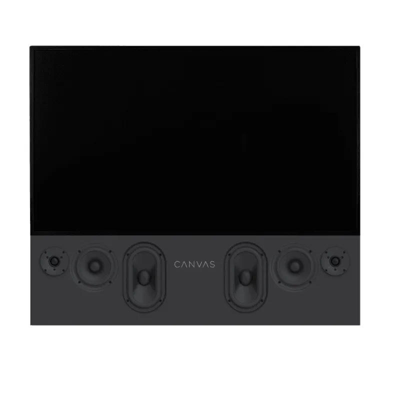 Hot Deal CANVAS High End HiFi TV Speaker Unit Only (Each)  Ends Soon!