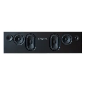 Hot Deal CANVAS High End HiFi TV Speaker Unit Only (Each)  Ends Soon!