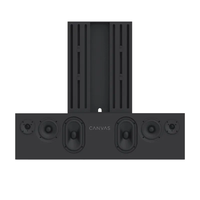 Hot Deal CANVAS High End HiFi TV Speaker Unit Only (Each)  Ends Soon!