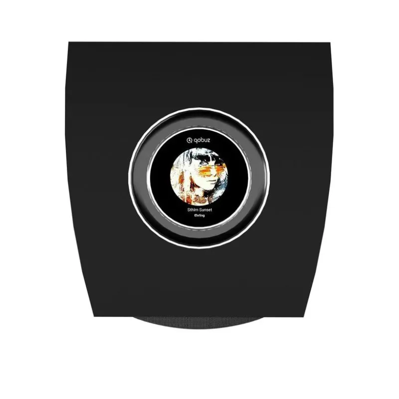 Premium Quality Cabasse Rialto Wireless Bookshelf Speaker (Pair)  Limited Release!