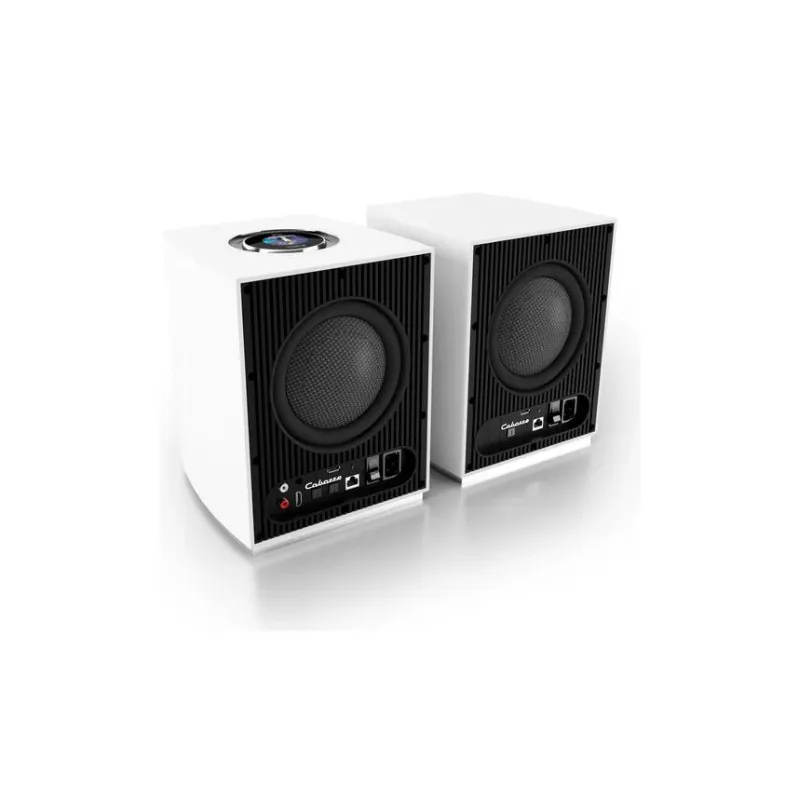 Premium Quality Cabasse Rialto Wireless Bookshelf Speaker (Pair)  Limited Release!