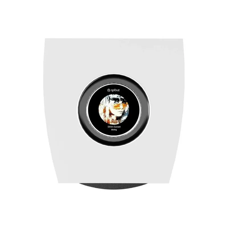 Premium Quality Cabasse Rialto Wireless Bookshelf Speaker (Pair)  Limited Release!