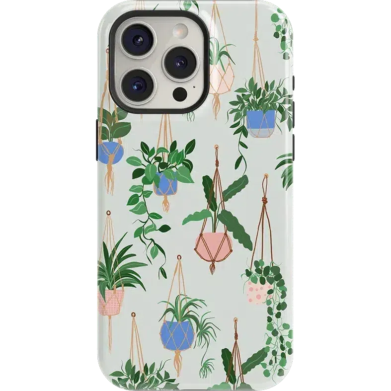Premium Quality Hanging Around | Potted Plants Floral Case  Going Fast!