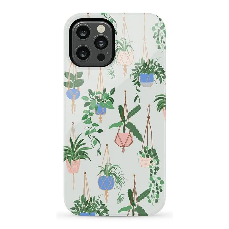 Premium Quality Hanging Around | Potted Plants Floral Case  Going Fast!