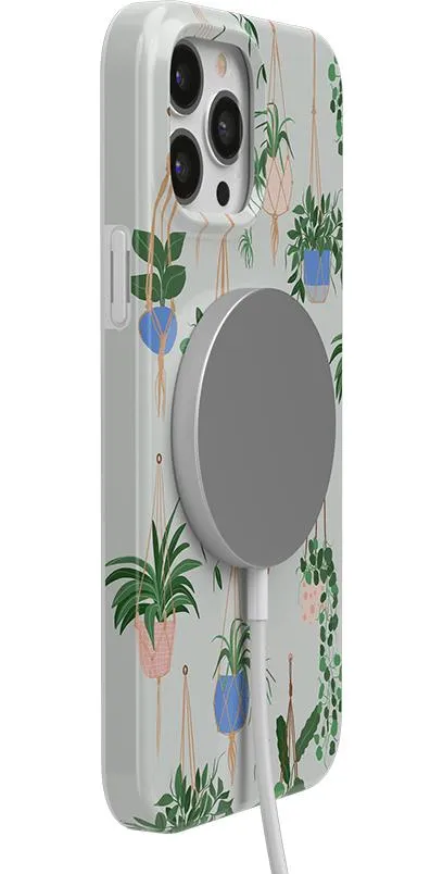 Premium Quality Hanging Around | Potted Plants Floral Case  Going Fast!