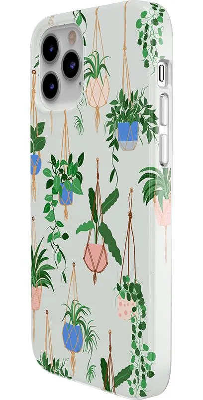 Premium Quality Hanging Around | Potted Plants Floral Case  Going Fast!