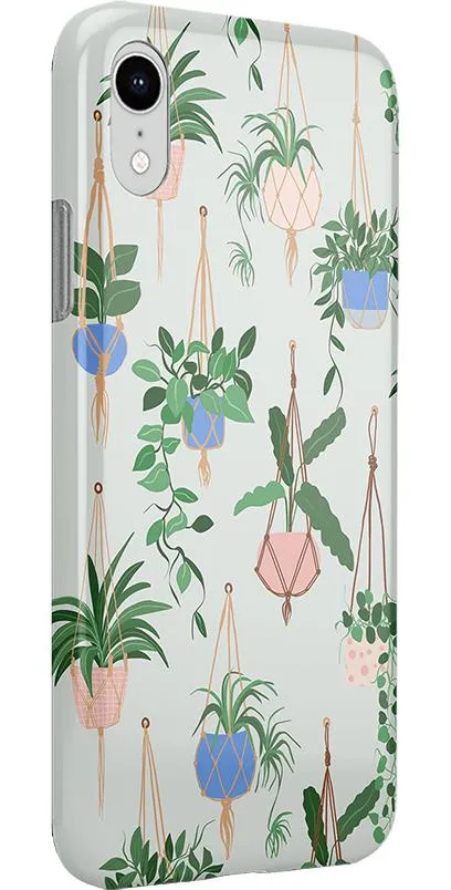 Premium Quality Hanging Around | Potted Plants Floral Case  Going Fast!