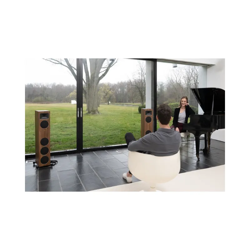 Premium Quality Martin Logan Motion Foundation F1 Floorstanding Speakers (Pair)  Limited Release!