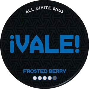 Trendy 2025 Vale Frosted Berry  Stylish & Comfortable