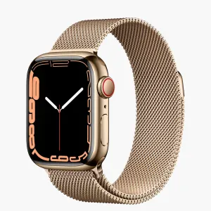 Worth Every Penny Apple Watch Band Milanese Gold  Today Only!